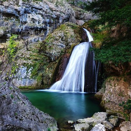 Casa Rural La Piedra Del Cambron Villaverde De Guadalimar المظهر الخارجي الصورة