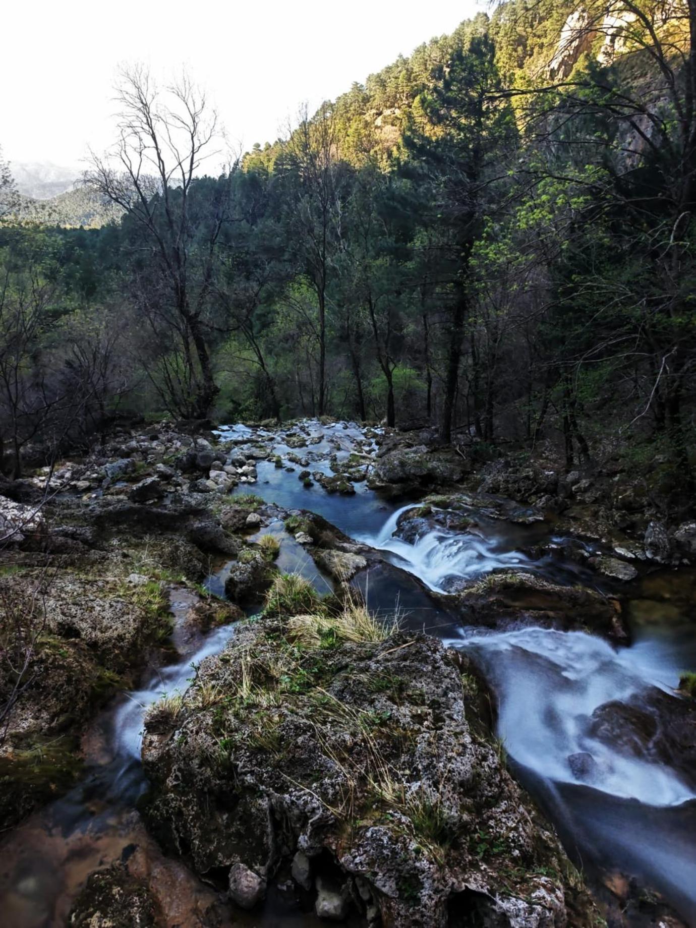 Casa Rural La Piedra Del Cambron Villaverde De Guadalimar المظهر الخارجي الصورة